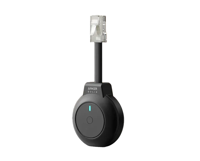 P1_Meter.webp
